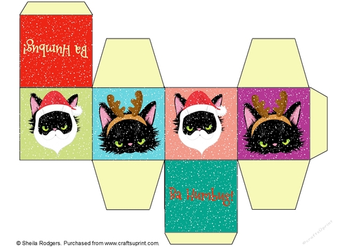 All In One Gift Box - Humbug Christmas Cats