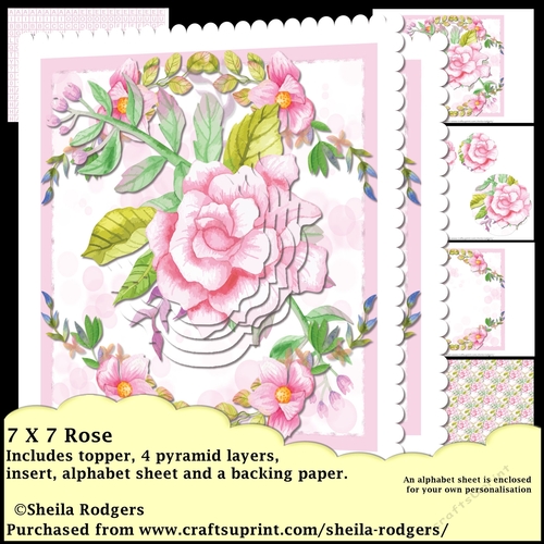 7x7 Pink Rose