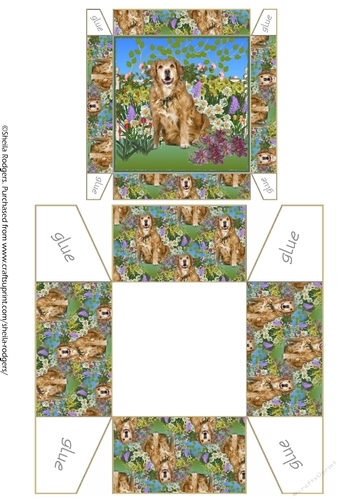GIFT BOX - LABRADOR IN GARDEN