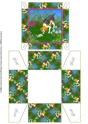 GIFT BOX - BEAGLE WITH TORTOISE