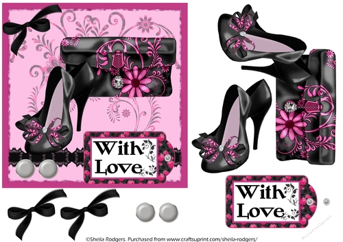 6x6 Shoes and Clutch Bag 2