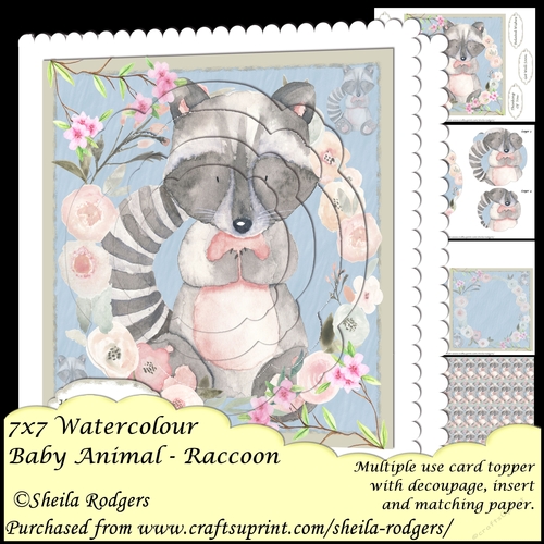 7x7 Watercolour Baby Animal - Raccoon