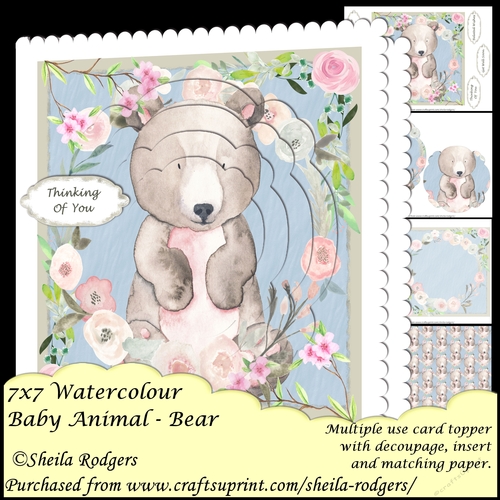 7x7 Watercolour Baby Animal - Bear