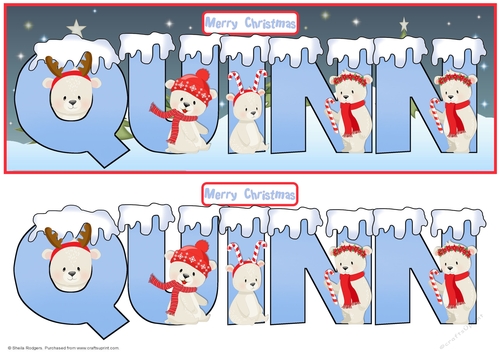 POLAR BEAR NAMES - QUINN