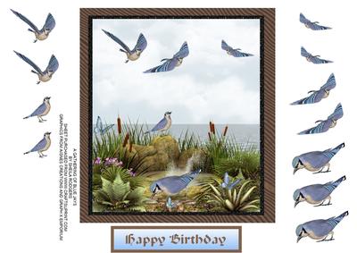 A Gathering of Blue Jays