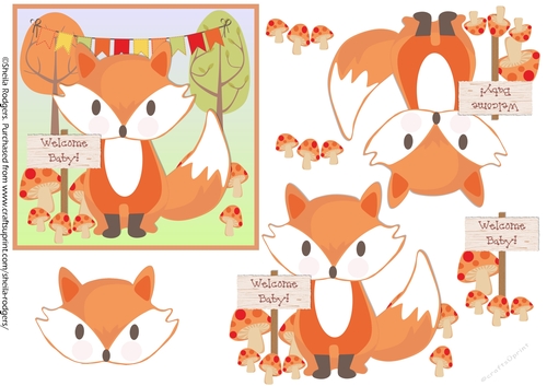 WELCOME BABY - FOX
