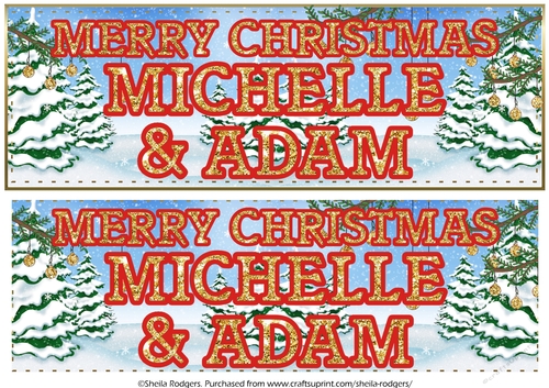 CHRISTMAS GLITTER - MICHELLE AND ADAM