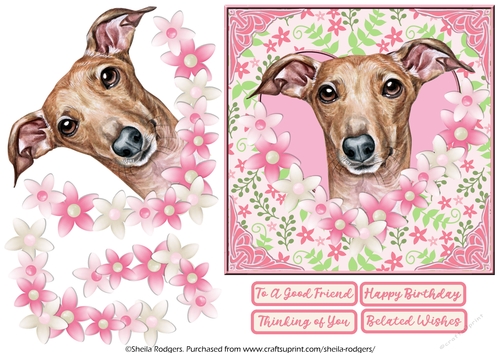 GREYHOUND IN HEART