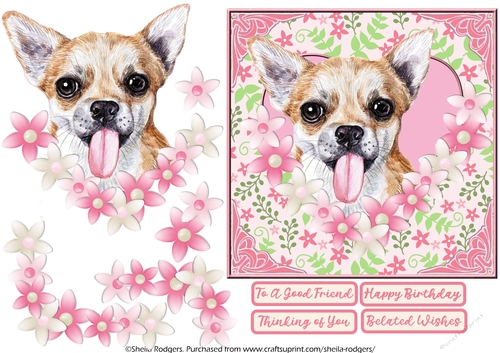 CHIHUAHUA IN HEART