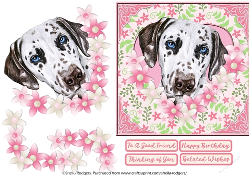 DALMATIAN IN HEART