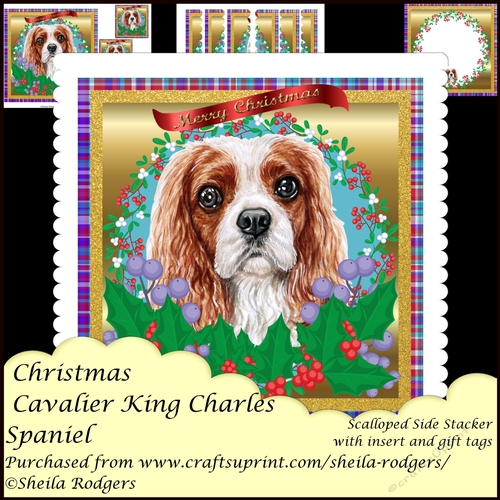 Christmas Cavalier King Charles Spaniel