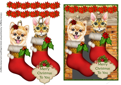 Pets in Stockings 1
