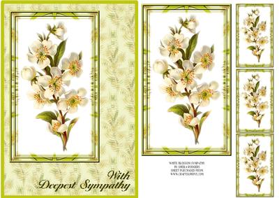 White Blossom Sympathy
