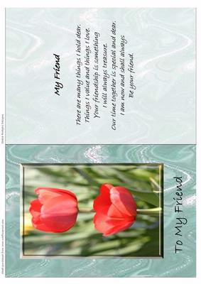 My Friend Tulips