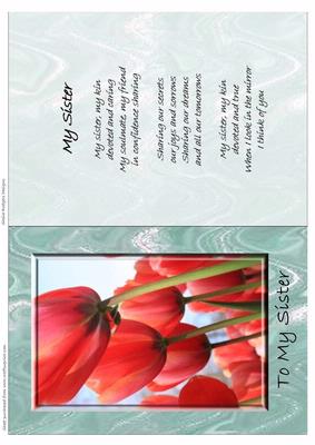 My Sister Tulips