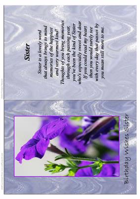 Sister Purple Petunias