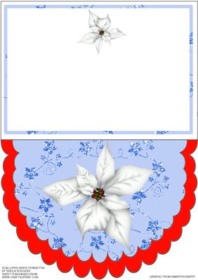 Scalloped White Poinsettia