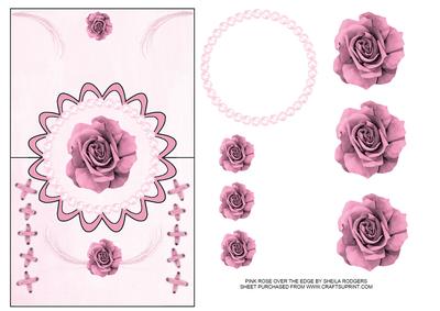 Pink Rose Over the Edge