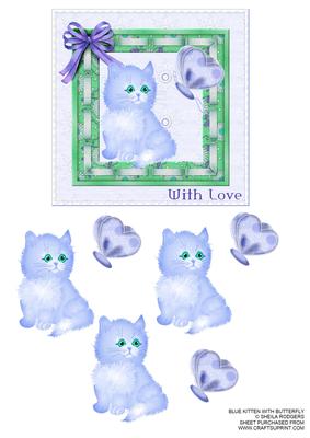 Blue Kitten with Butterfly
