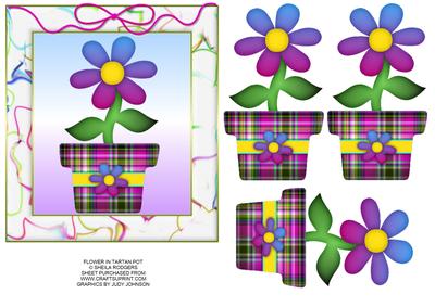 Flower in Tartan Pot