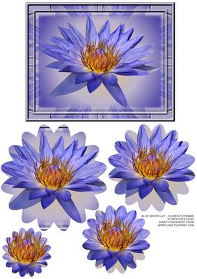 Blue Water Lily - Flower Pyramid 2