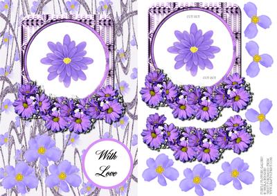 Purple Flowers Galore!