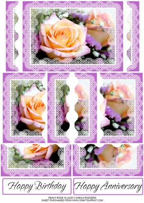 Peach Rose in Lace
