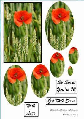 Poppy Get Well Soon