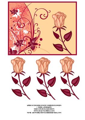 Apricot Rosebud with Swirled Flowers