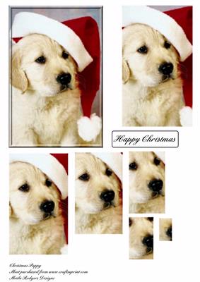 Christmas Puppy