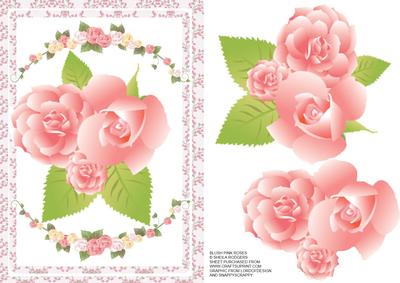 Blush Pink Roses