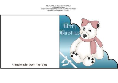Female Polar Bear Cut and Fold