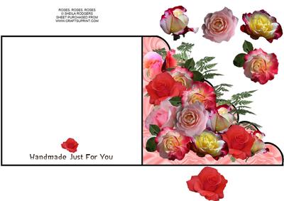 Roses, Roses, Roses