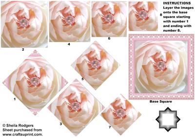 White Rose with Pink Diamond Star Pyramid