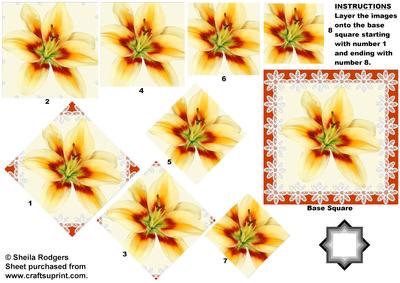 Day Lily with Daisy Lace Star Pyramid