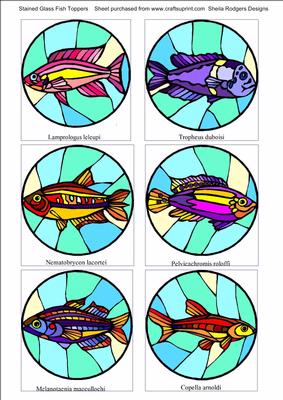 Stained Glass Fish, Toppers