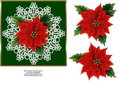 Red Poinsettia on Lace 3