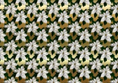 White Poinsettia on Gold