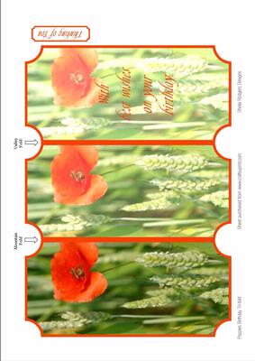 Poppies Birthday Tri-fold