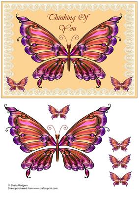 Amber Butterfly on Lace