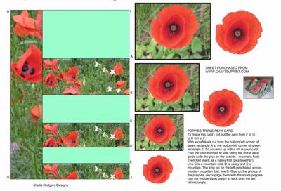 Poppies Triple Peak Card