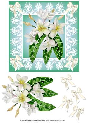 White Flowers with Ribbons and Lace