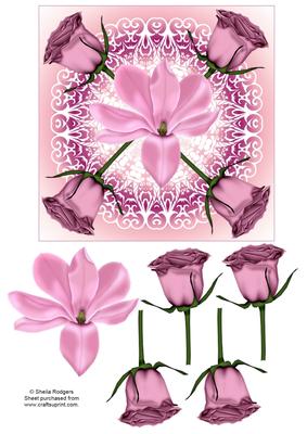 Pink Roses, Cyclamen and Lace