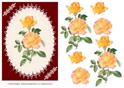 Sunblush Roses on Wine
