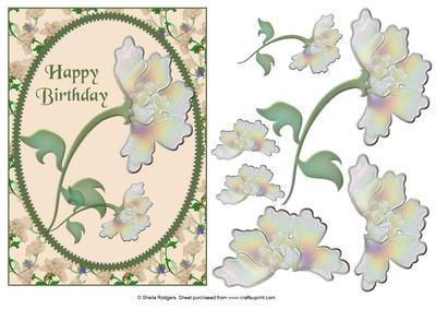 Cream Flowers in Oval