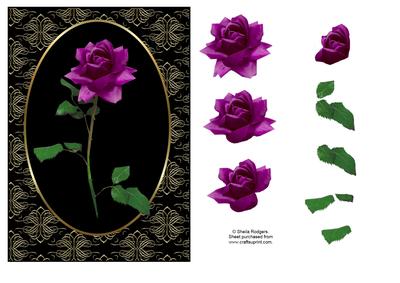 Deep Pink Rose on Black and Gold