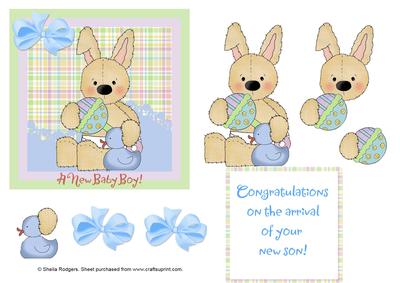Baby Boy Bunny