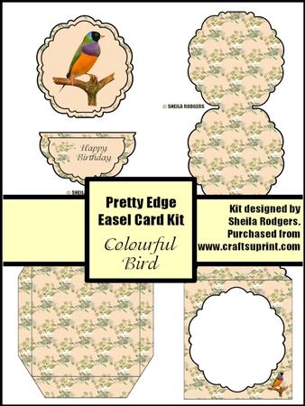Colourful Bird Pretty Edge Easel Card Kit