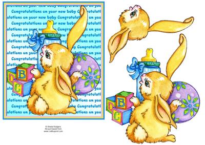 New Baby Bunny with Toys