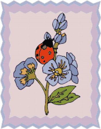 Ladybird on Flowers